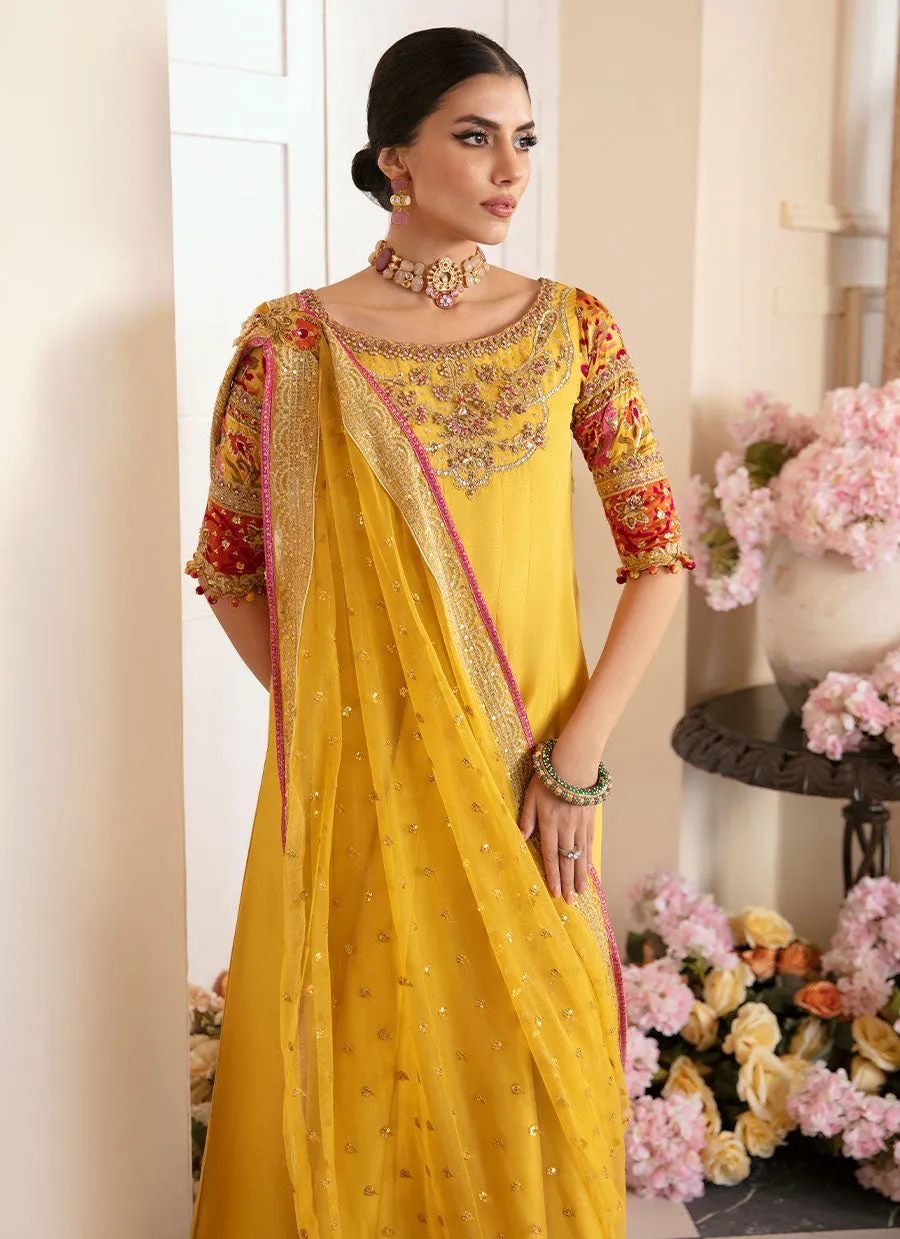 Aqiq Kiwi Kalidaar And Draped Dupatta