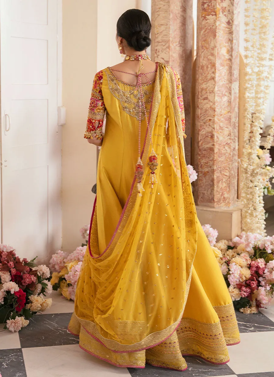 Aqiq Kiwi Kalidaar And Draped Dupatta