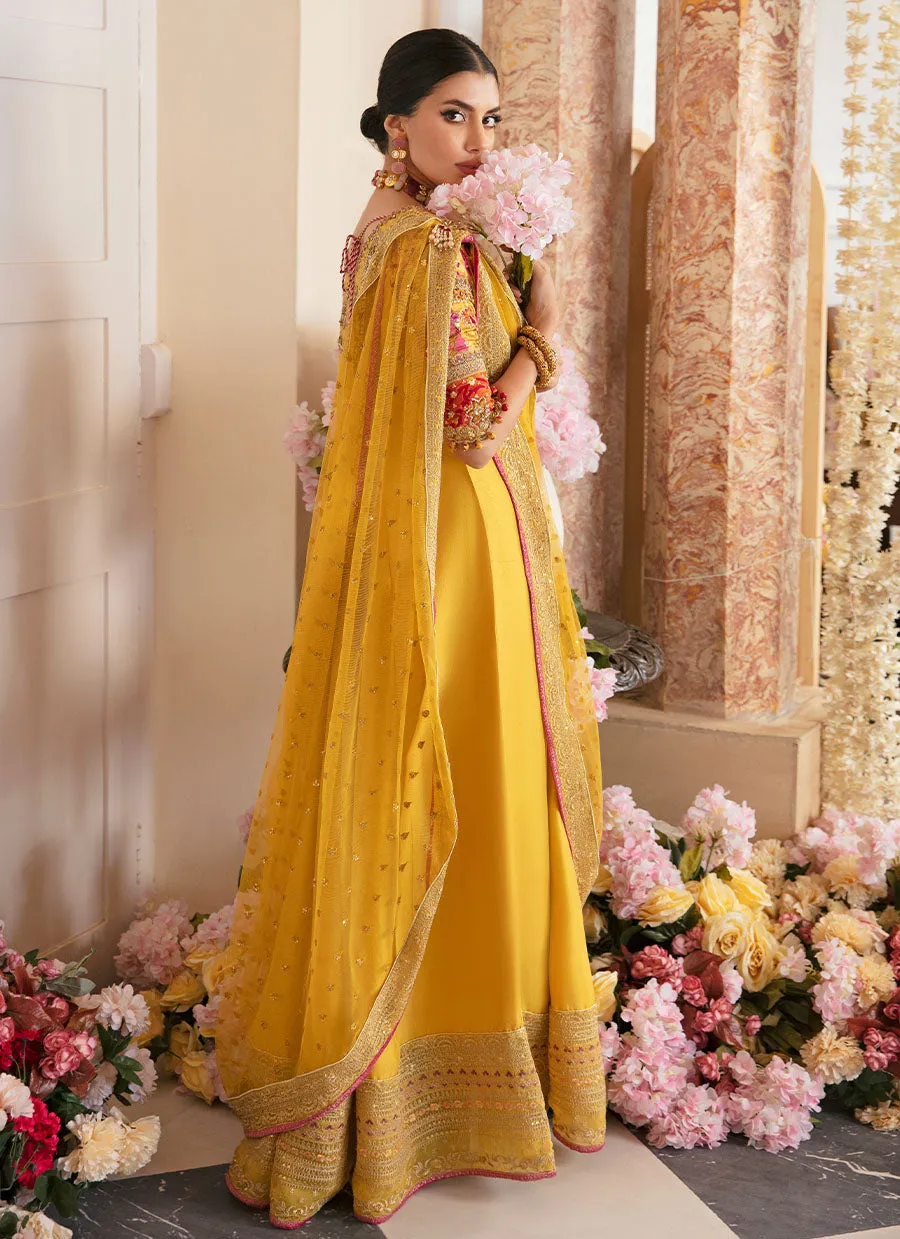 Aqiq Kiwi Kalidaar And Draped Dupatta