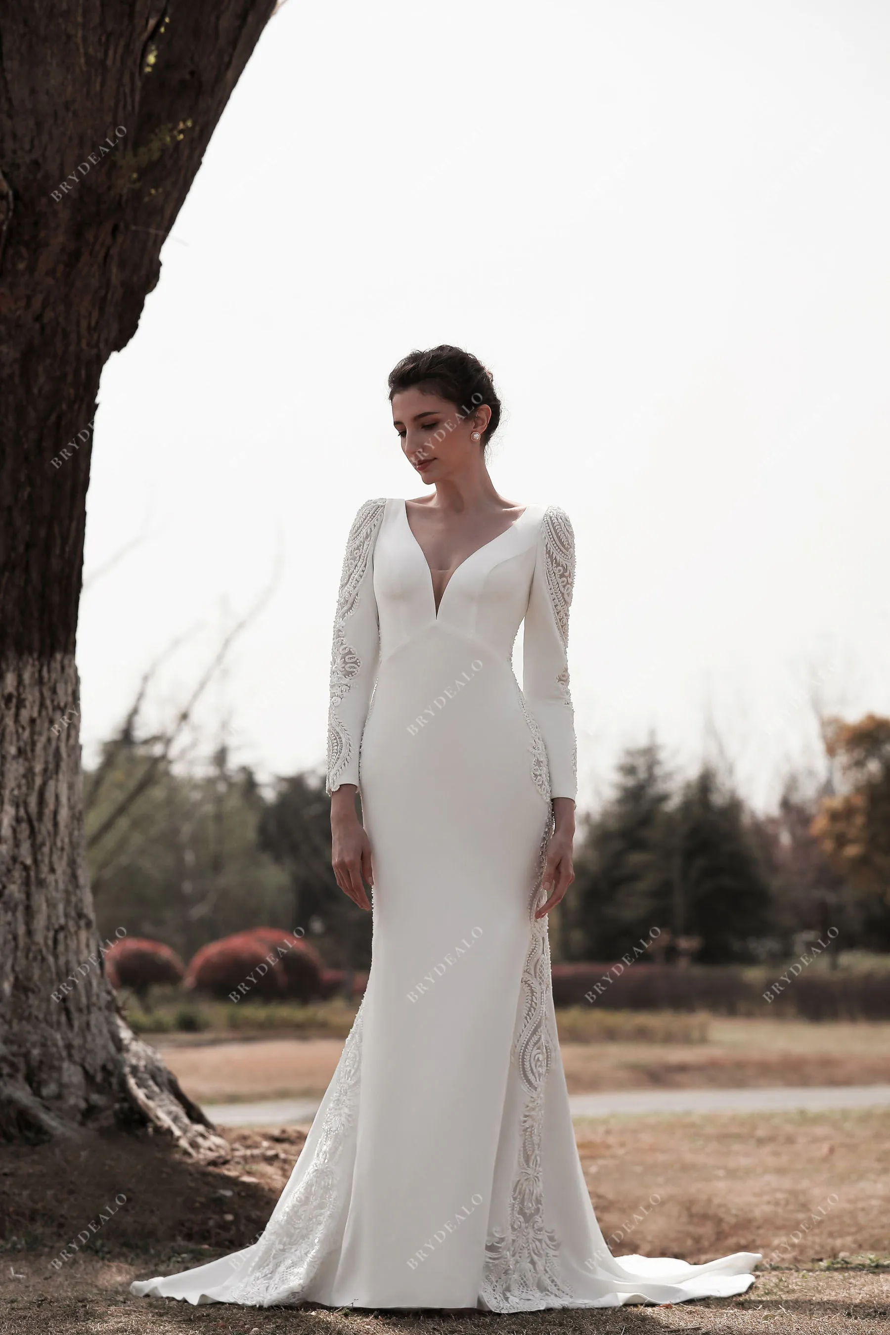 Elegant Crepe Lace Sleeved Mermaid Bridal Gown